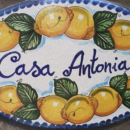 Casa Antonia Apartment Anacapri  Luaran gambar