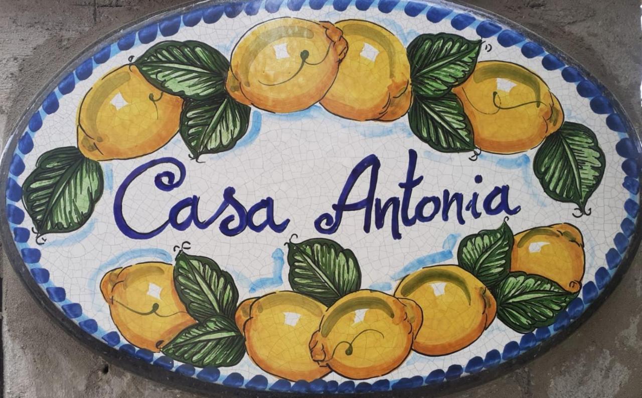 Casa Antonia Apartment Anacapri  Luaran gambar